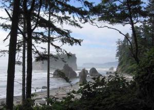 Anthony Foster - Daddy New York City, USA