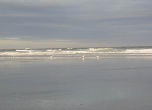 Clement Ayon - Daddy Phoenix, USA