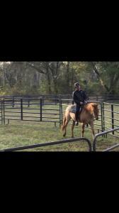 Darrell Dao - Daddy Aberdeen, United Kingdom