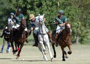 Harry Adams - Daddy San Antonio, USA