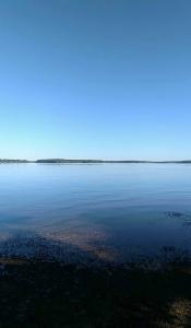 Marcelo Elliott - Daddy Tanner, USA