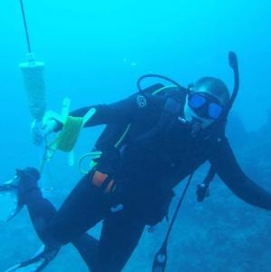 Sean Reaves - Daddy Halifax, Canada