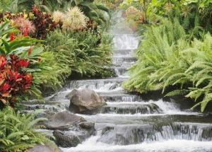 Timothy Bowman - Daddy Ottawa, Canada